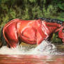 29. River horse