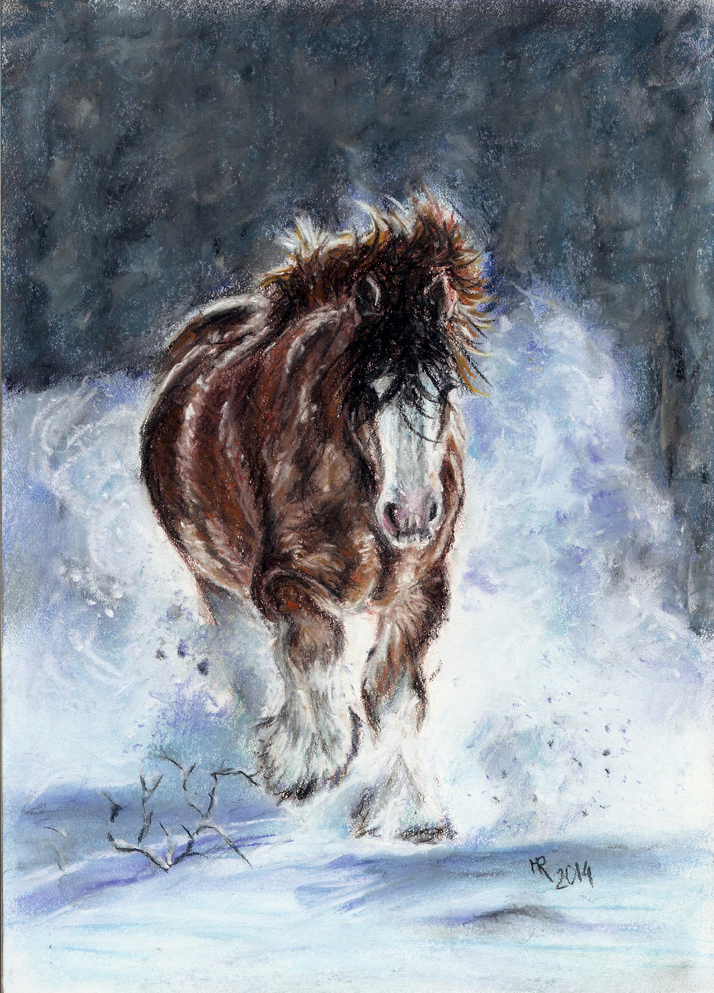 33. Equine winter 2