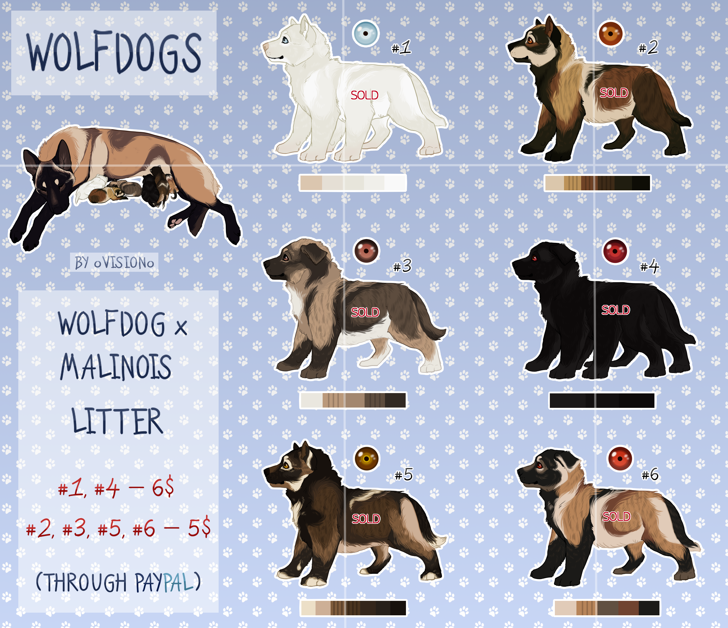 Malinois wolf deals hybrid