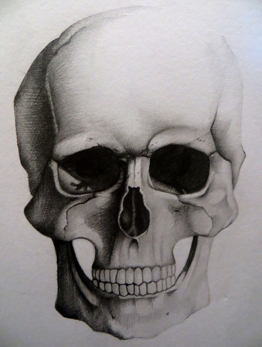 Skull