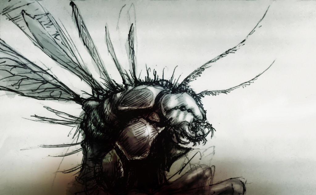 Fly Bug Deviantart Bug by yael-narvaez on DeviantArt