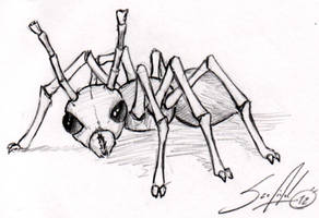 Sketchbook: Ant