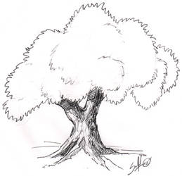 Sketchbook: Tree