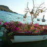 An old fishing boat - Gumusluk / Bodrum