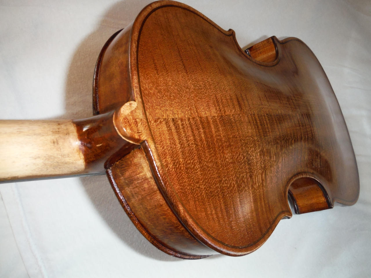 Amati Red mahagony Back by notneb82 on DeviantArt
