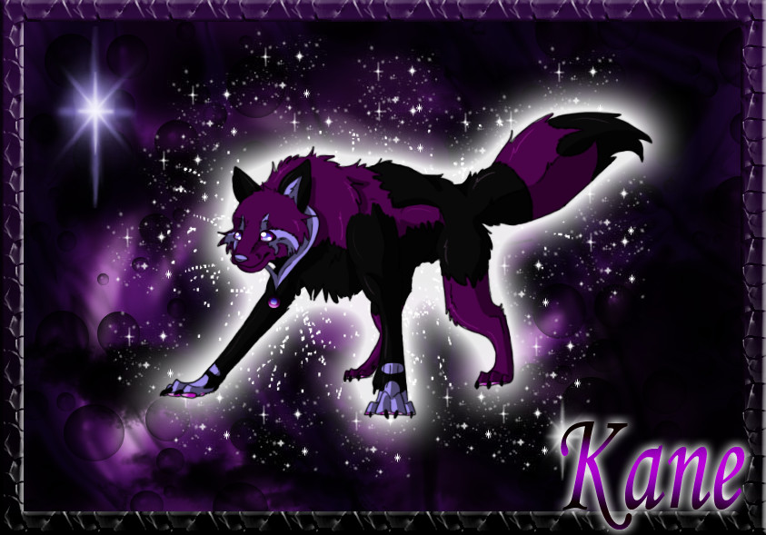 Kane wolf profile (old)