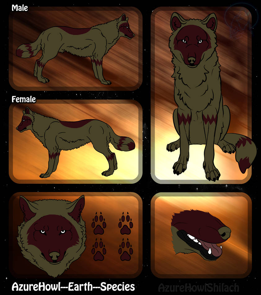 Earth wolf species-AzureHowl by AzureHowlShilach Earth wolf species-AzureHowl by AzureHowlShilach