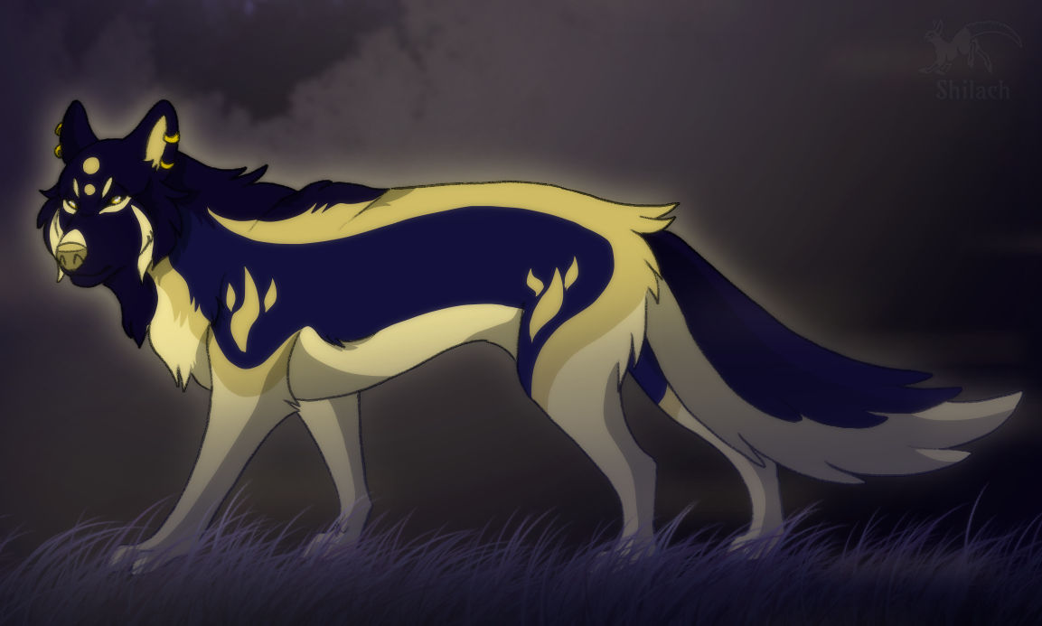 Patreon Reward Starlight by AzureHowlShilach on DeviantArt