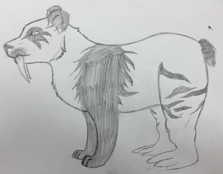 Panda/Tiger/Walrus Chimera