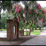 Colonial Park Cemetery 5