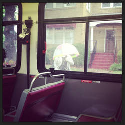 Bus View - Umbrella
