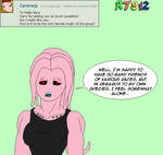 Ask My OCs Answer 24 by RT912