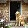 My lady has gone to don her coat.