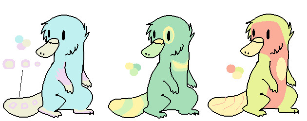 Platypus point adopts