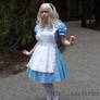 Alice in Wonderland: Which Way