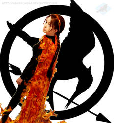 Katniss Everdeen: The Girl Who Was On Fire