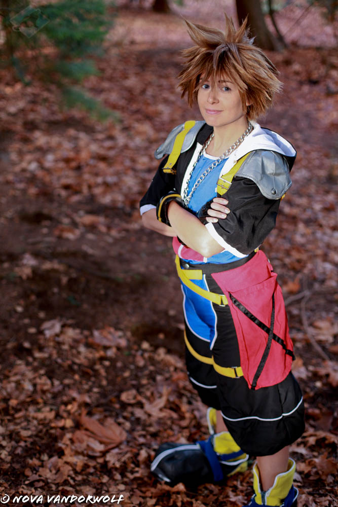 Kingdom Hearts: Sora the Pure of Heart