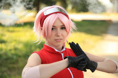 Naruto- Sakura Haruno