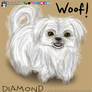 My Shih Tzu - Diamond