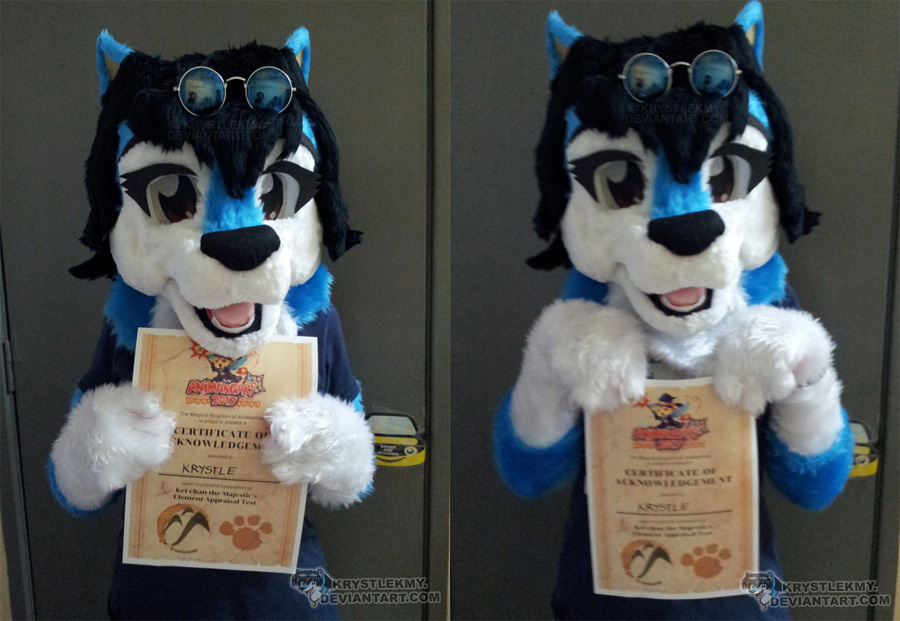 Krys-Wolf Fursuit 2.0 and AMG Certificate