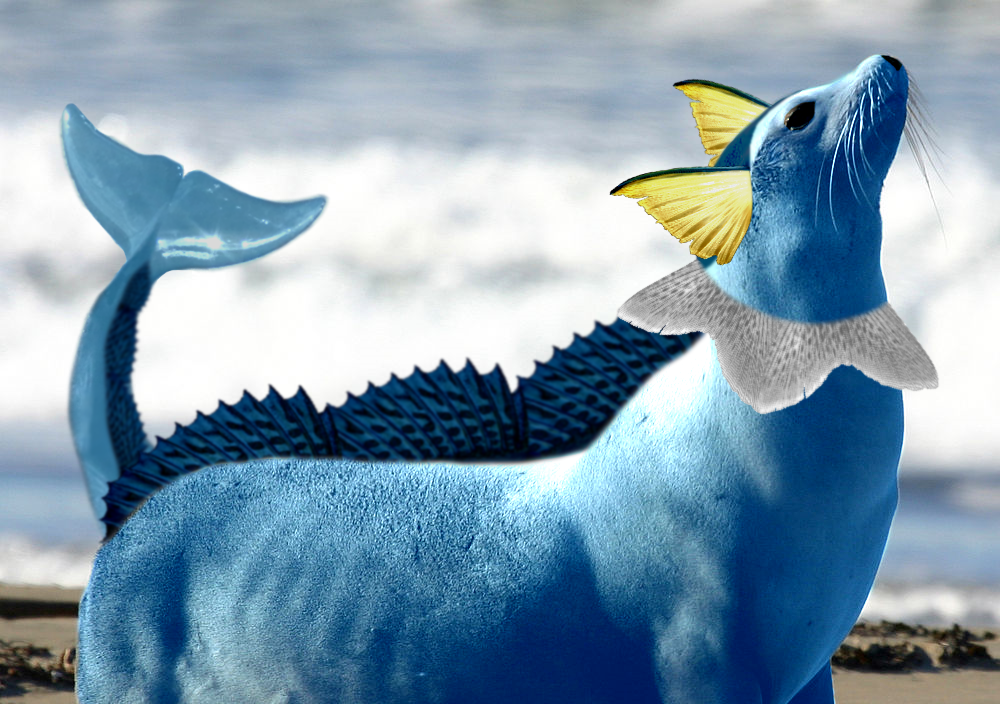 Deviantart Real Life Real life Vaporeon by TaurentheToonster28 on DeviantArt