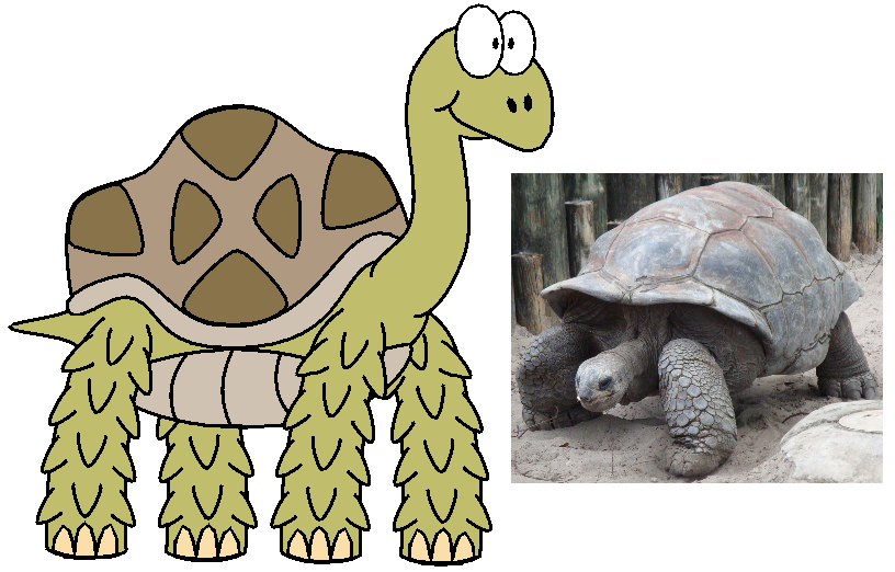Fictional Tortoise Tortoise by TaurentheToonster28 on DeviantArt
