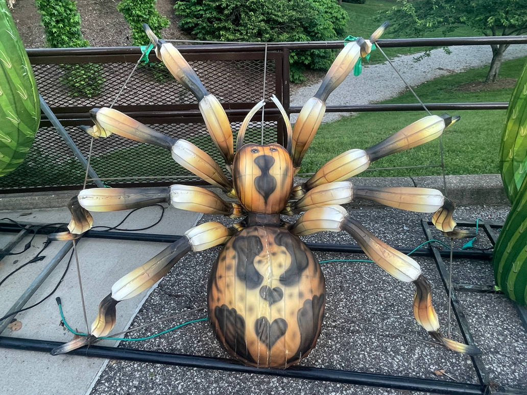 Giant spider lantern by TaurentheToonster28 on DeviantArt