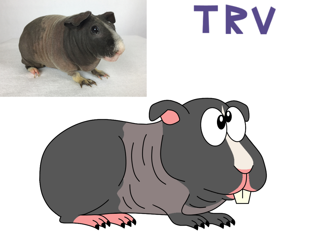 Skinny Pig By TaurentheToonster28 On DeviantArt skinny-pig-by-taurenthetoonster28-on-deviantart