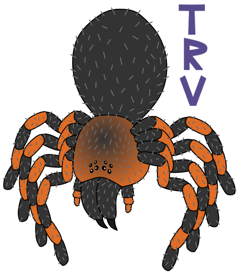 Tarantula Deviantart Mexican redknee tarantula by TaurentheToonster28 on DeviantArt