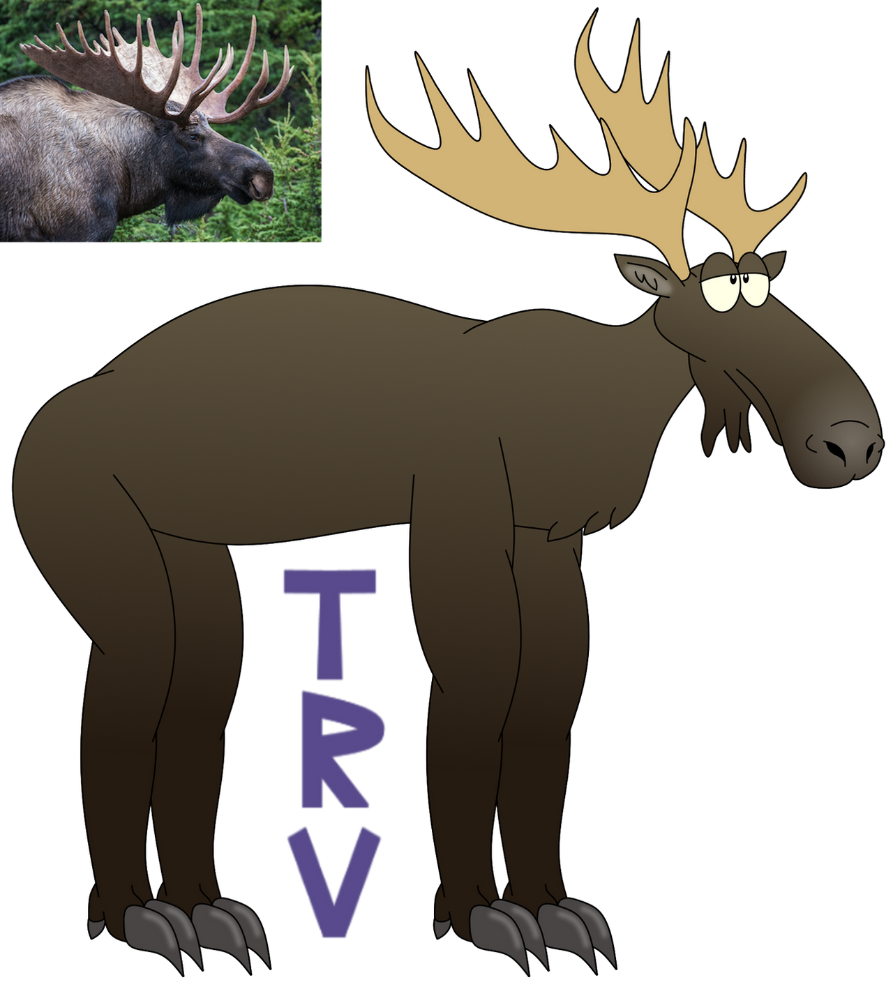 Moose {Male} by TaurentheToonster28 on DeviantArt