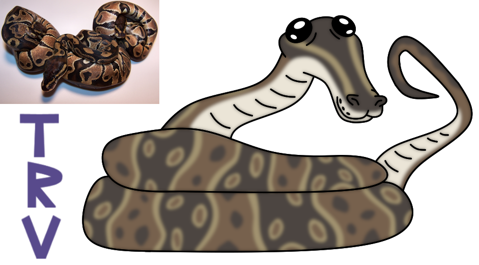 Ball Python by TaurentheToonster28 on DeviantArt