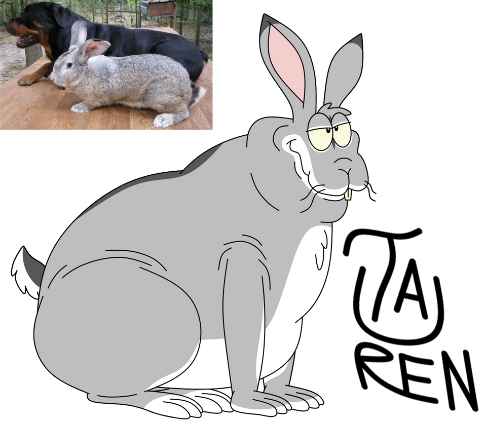 Loop Giant Rabbit Flemish Giant Rabbit by TaurentheToonster28 on DeviantArt