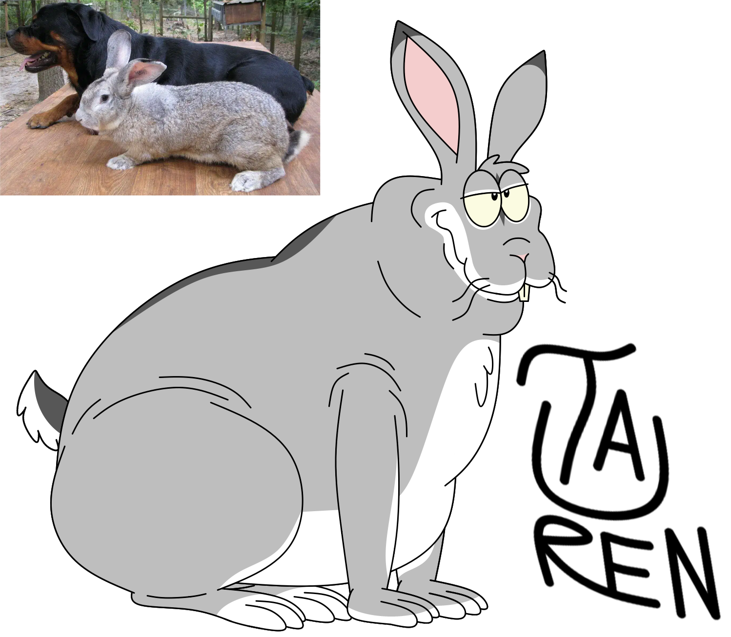 Flemish Giant Rabbit Vs Regular Rabbit Flemish Giant Rabbit by TaurentheToonster28 on DeviantArt