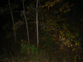 Darkness 1