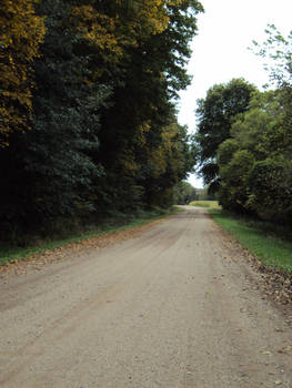 Road Path 0001
