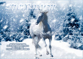 Snowstorm