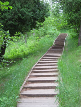 Steps 4