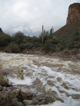 River 21