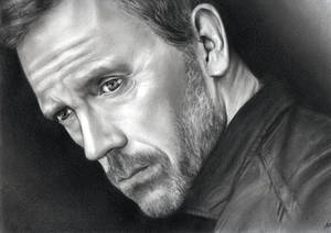 Hugh Laurie 'House MD'