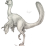 Oviraptorid