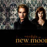 Esme_Carlisle for NewMoon