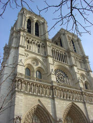 Towering Notre Dame