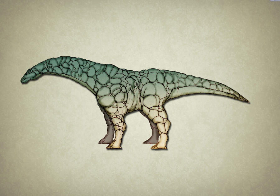 Sauropod Concept