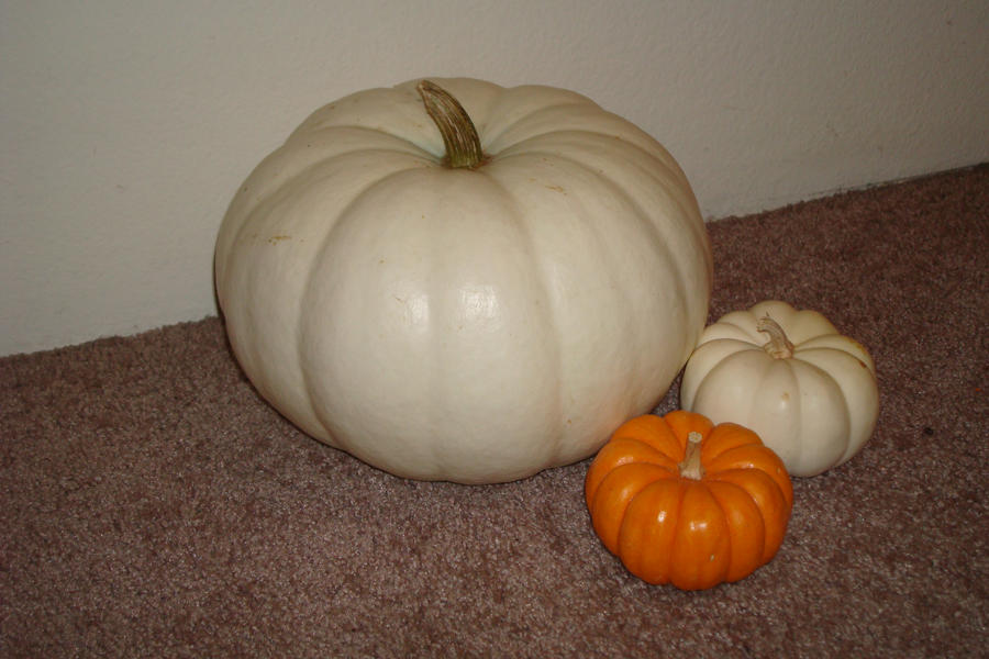 3 Pumpkins