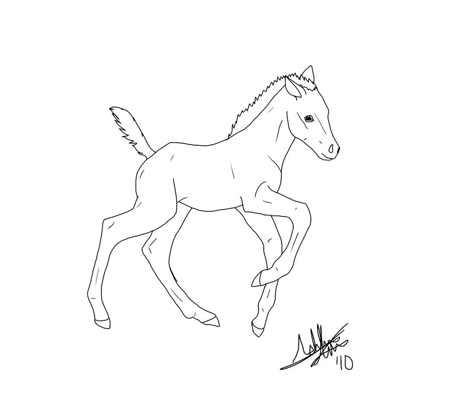 Foal Lineart