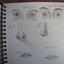 Facial Features Sketches