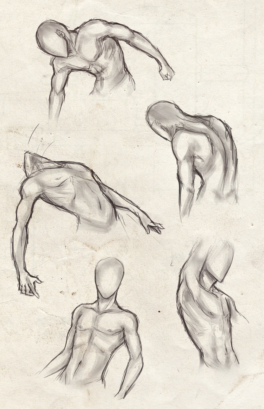 male torso practice