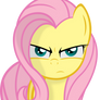 Fluttershy Serious Face