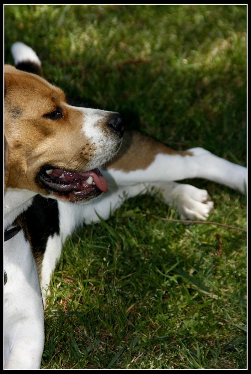 Princess Zoe by sneakye on DeviantArt