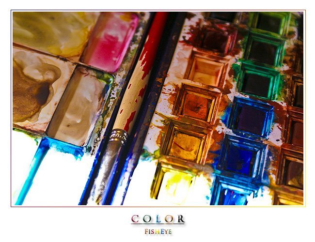 Color by FishEye-lens Color by FishEye-lens